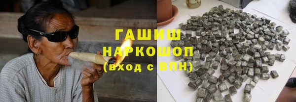 прущие грибы Тавда