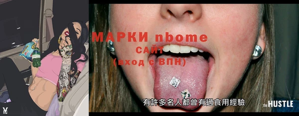 прущие грибы Тавда