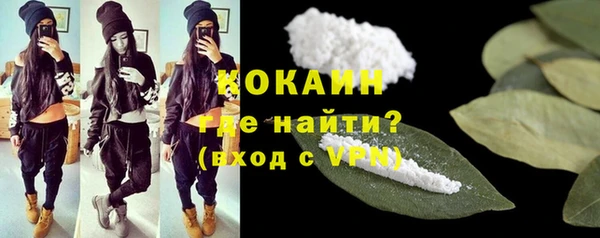 прущие грибы Тавда
