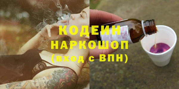 прущие грибы Тавда