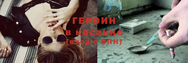 прущие грибы Тавда