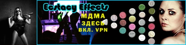 прущие грибы Тавда