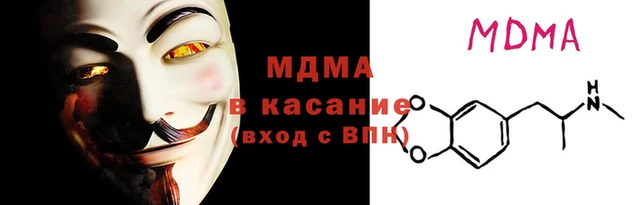 прущие грибы Тавда
