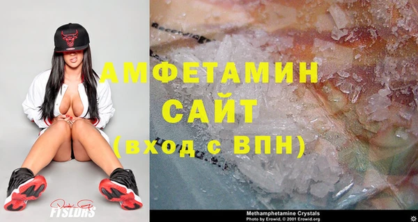 прущие грибы Тавда