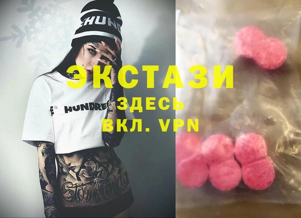 прущие грибы Тавда