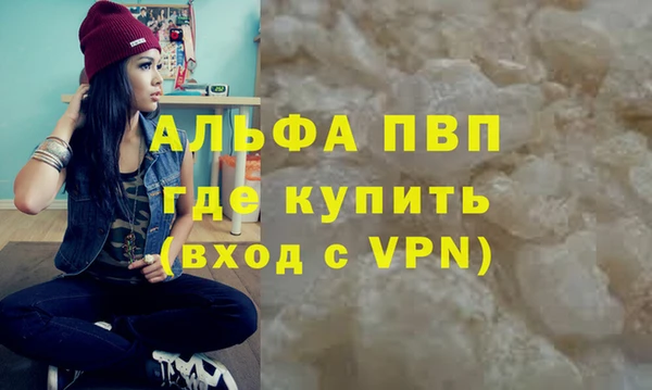 прущие грибы Тавда