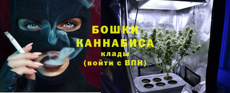 купить закладку  blacksprut как войти  Марихуана SATIVA & INDICA  Углегорск 